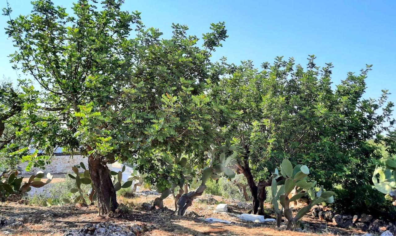 I Due Carrubi Βίλα Ostuni Εξωτερικό φωτογραφία