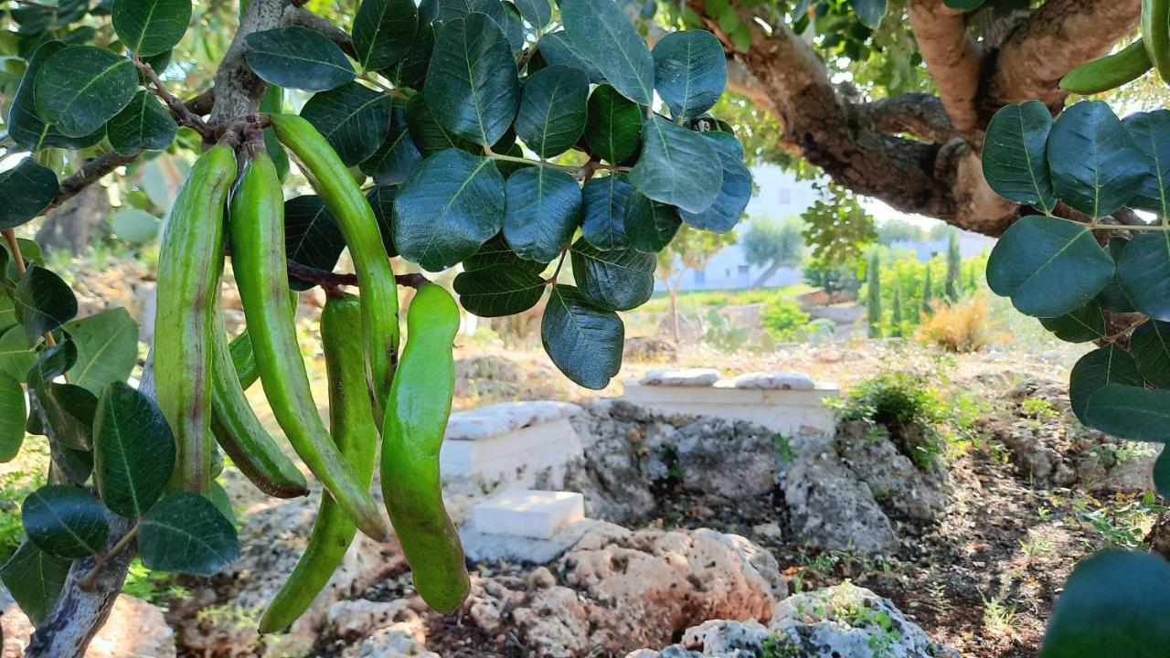 I Due Carrubi Βίλα Ostuni Εξωτερικό φωτογραφία